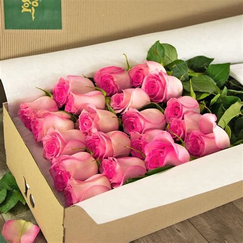 14 Best Florists for Flower Delivery in Chula Vista, CA - Petal Republic