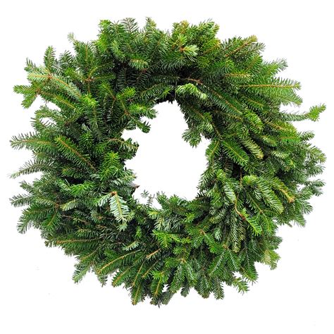 24" Fresh Plain Fraser Fir Wreath | Van Putte Gardens