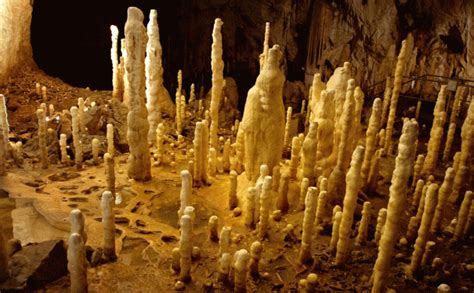 What stalagmites tell us about climate change | Science Illustrated