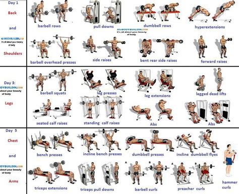 Workout plans to start using pin routine reference 3922229862 now. # ...