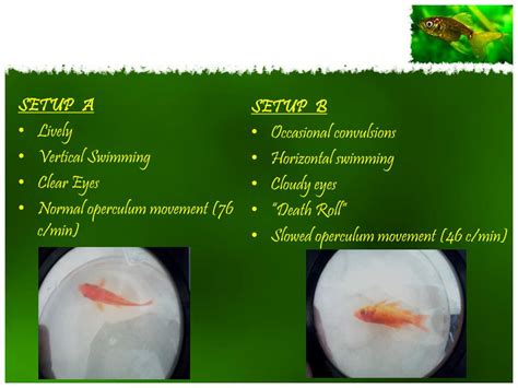 PPT - Group 7 OPERCULUM MOVEMENT PowerPoint Presentation, free download ...