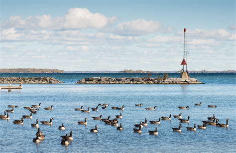 Visitez Gander : le meilleur à Gander, Terre-Neuve-et-Labrador en 2023 ...