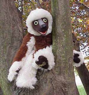 zoboomafoo on PopScreen