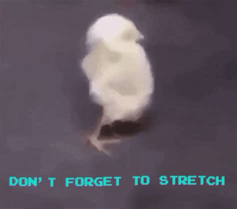 Buttmans-stretch-class-2-behind-the GIFs - Find & Share on GIPHY