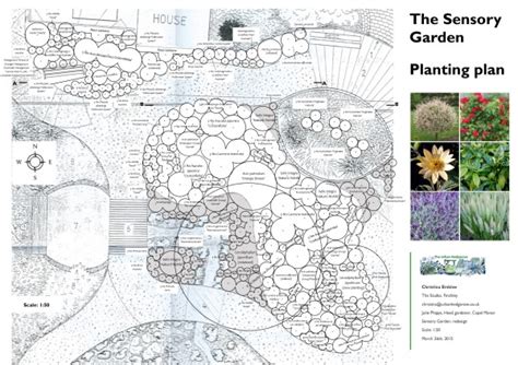 Sensory garden planting plan | The Urban Hedgerow