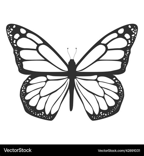 Monarch butterfly silhouette icon high quality Vector Image