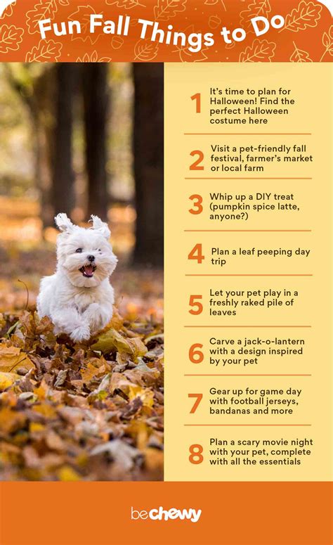 Make the Most of the Fall With This Ultimate Autumn Pet Parent To-Do ...