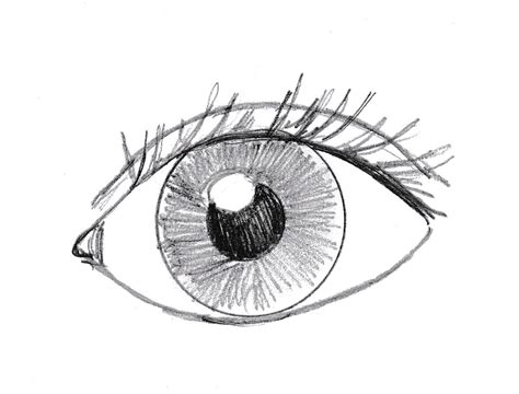 How to Draw an Eye | Art Starts