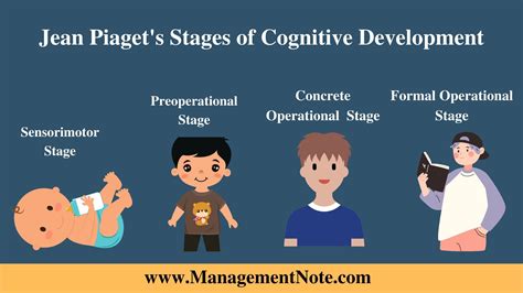 Piaget's Stages Of Cognitive Development Explained | atelier-yuwa.ciao.jp