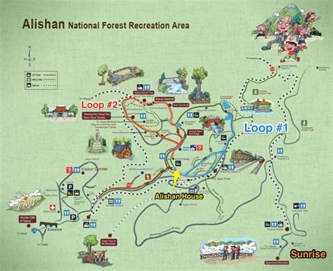 Ultimate Guide to Alishan National Recreational Forest and the Sunrise