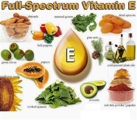 Vitamin E: Sources, Function & Deficiency - Public Health Notes