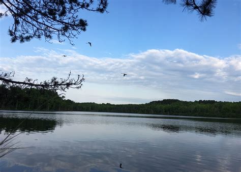 Moosehead Lake Campground Camping | The Dyrt