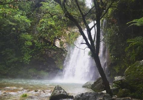 Cuetzalan: Waterfalls and Grotto Tour | GetYourGuide