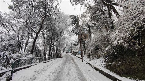 Kasauli covered in a blanket of snow 2022| Snowfall in Kasauli ...