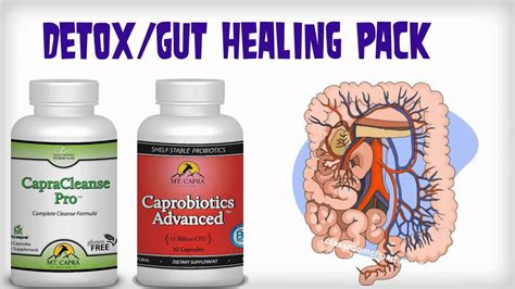 What Are The Best Supplements To Heal Your Gut and Detox Your Body ...