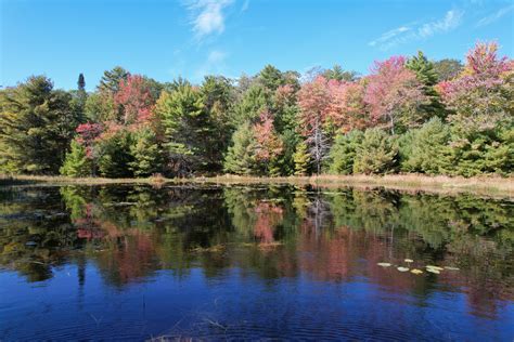 Hidden Valley Nature Center — Midcoast Conservancy