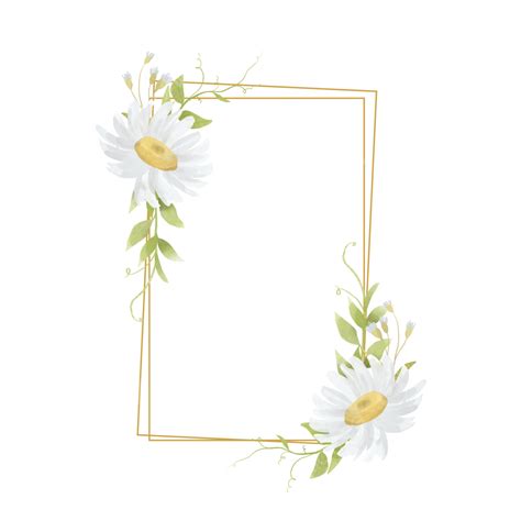 Daisy Bouquet Hd Transparent, Flower Frame With Watercolor White Daisy ...