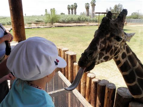 Stacey and Tony Palizzi: Wildlife World Zoo and Aquarium