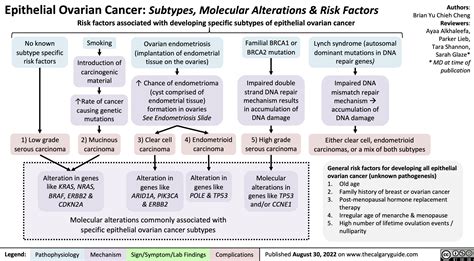 epithelial-ovarian-cancer-subtypes-molecular-alterations-risk-factors ...