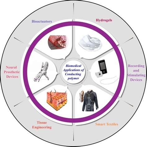 Conducting Polymers: A Versatile Material for Biomedical Applications ...