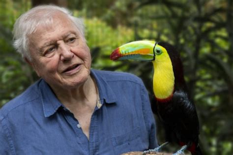 Documentary Reviews – David Attenborough | The Macrobiotic Association