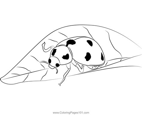 Cute Ladybug Coloring Page for Kids - Free Ladybugs Printable Coloring ...