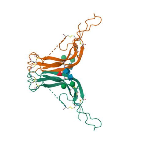 RCSB PDB - 6P57: Crystal Structure of the Beta Subunit of Luteinizing ...