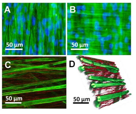 Bioengineering | Special Issue : Biofabrication