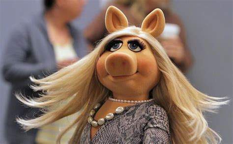 Top 5 'Muppets' moments from 'Pig Out' | Miss piggy, Miss piggy muppets ...