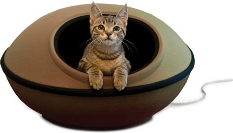 6 Best Cat Beds For Large Cats In 2023 - Cat Mania