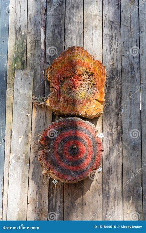 Two Wooden Targets for Throwing Knives on the Fence Stock Image - Image ...