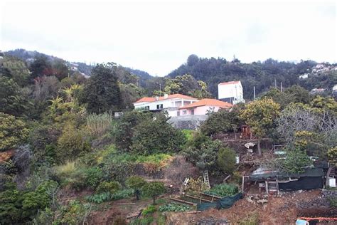 Travel: Funchal Cable Car & Tobogganing in Madeira : As the Bird flies ...