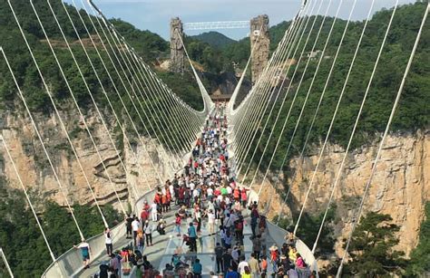 Private Tour of Zhangjiajie Grand Canyon with Glass Bridge | GetYourGuide