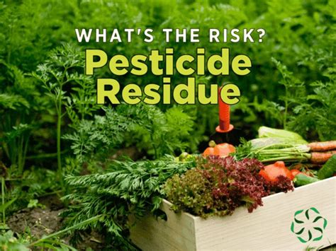 What's the risk? Pesticide residues - Center for Research on Ingredient ...