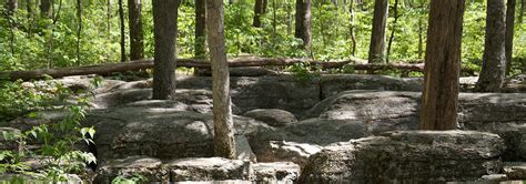 Visit Stones River Battlefield | American Battlefield Trust