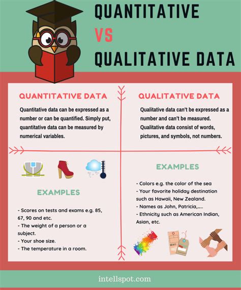 Qualitative and Quantitative Data - infographic and examples Research ...