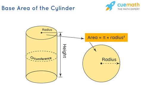 Base Area of Cylinder - Definition, Formula and Examples