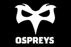 Ospreys | Rugby logo, Rugby, Osprey