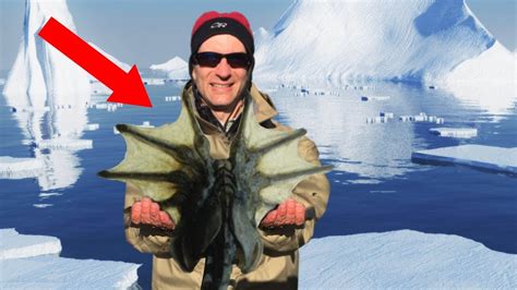 Strangest Creatures Found Living In Antarctica - YouTube