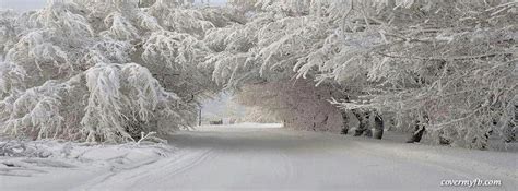 Winter Road ~ Facebook Cover | Winter cover photos, Winter facebook ...