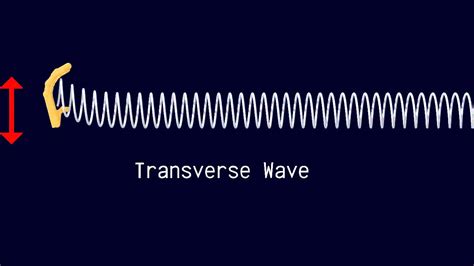 Longitudinal and Transverse Waves - YouTube