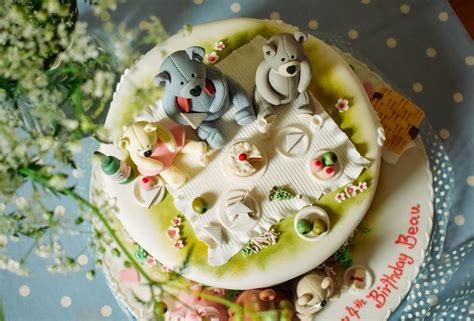 A Beautiful Teddy Bears Picnic Birthday Cake – Searching And Shopping