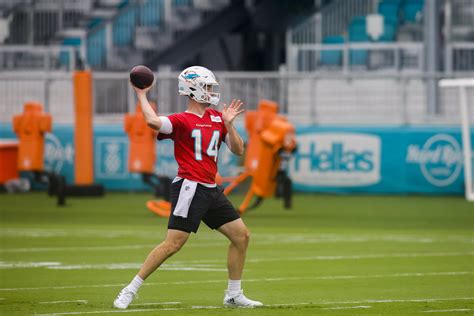 Why the Miami Dolphins Must Keep Three Quarterbacks