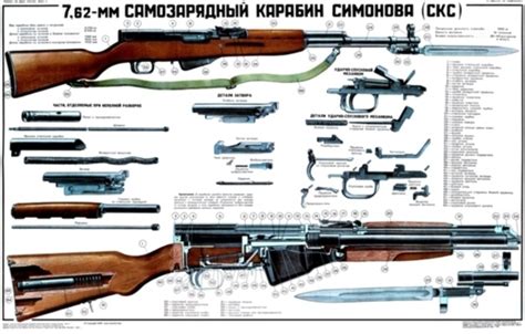 SKS-45 Simonov Carbine Rifle Poster