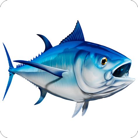 Bluefin Tuna 5 – Digital Fish Art