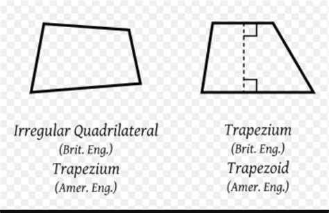 Which Best Describes the Sides of Any Trapezoid