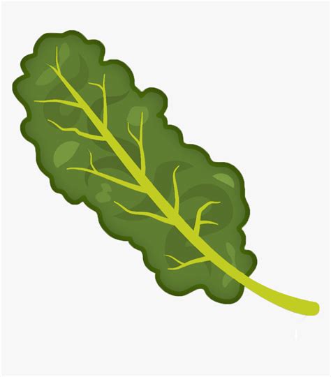 Cartooned Image Of Kale - Kale Clipart Png, Transparent Png ...