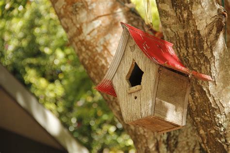 Bird House Tree Garden Nest - Free photo on Pixabay - Pixabay