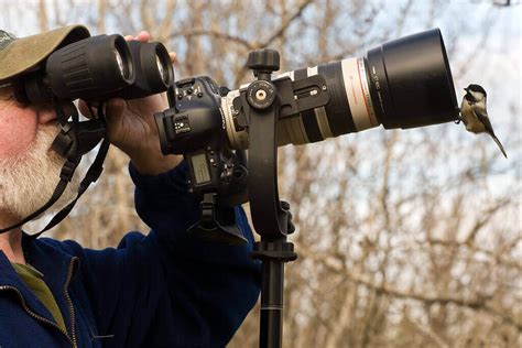 Best Sony Camera For Wildlife Photography 2024 - Ketty Merilee