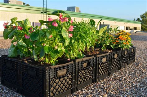 How To Make A Milk Crate Garden Planter - DIY Gardening & Better Living ...